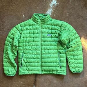 Patagonia Men’s Vibrant Green Puffer Jacket